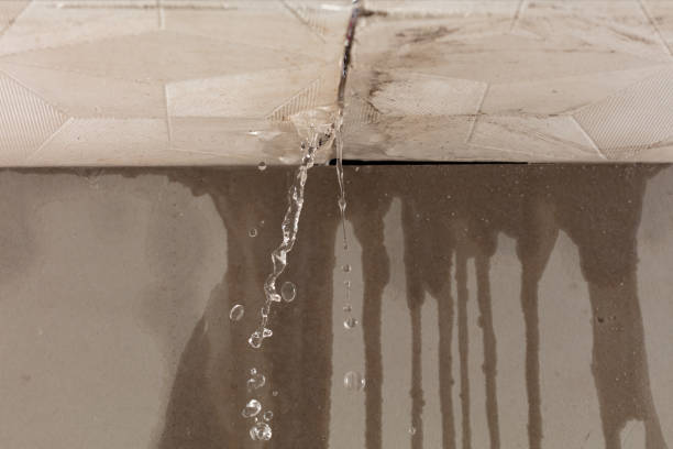 Professional Structural Drying technician working in Sharples, WV